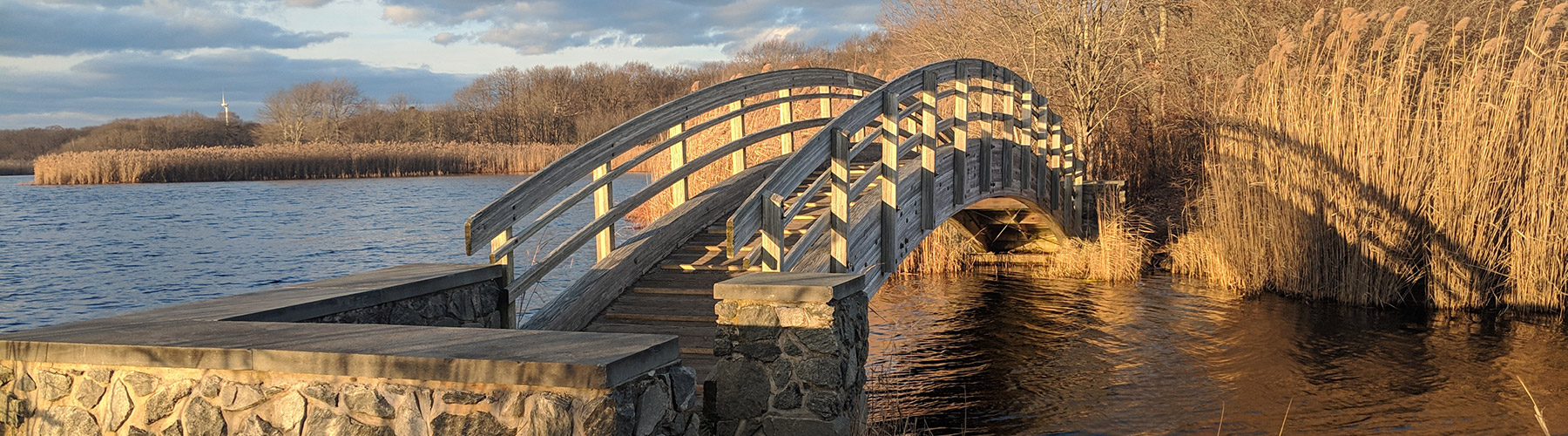 ryan-park-bridge